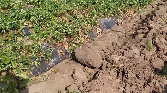 Строительство балагана-рассадника 40*9 подробно, 1 часть смотреть онлайн