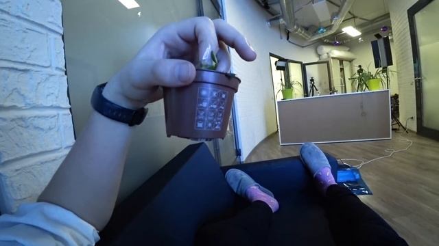МУХОЛОВКА ПЕРЕВАРИВАЕТ МОЙ ПАЛЕЦ 24 ЧАСА! смотреть онлайн