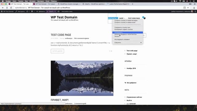 Отключение неиспользуемых скриптов, стилей и шрифтов. Ускорение Wordpress #1 смотреть онлайн