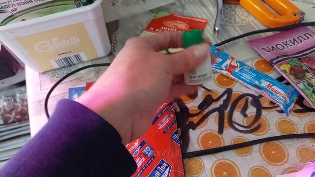 КАК ИЗБАВИТСЯ ОТ ВРЕДИТЕЛЕЙ на рассаде НАВСЕГДА!!! почвенный комарик смотреть онлайн