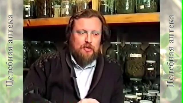 Гречиха посевная смотреть онлайн