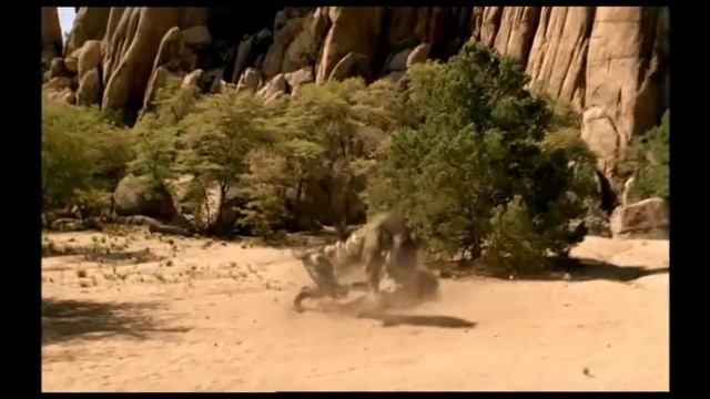 TRILOGY OF LIFE - Walking with Beasts - "Hyaenodon" смотреть онлайн