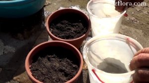 ДРЕНАЖ ДЛЯ РАСТЕНИЙ: ЗА И ПРОТИВ