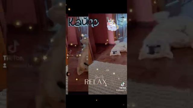 ВЫХОДНЫЕ У МЕНЯ)
Https://rutube.ru/channel/30334194/