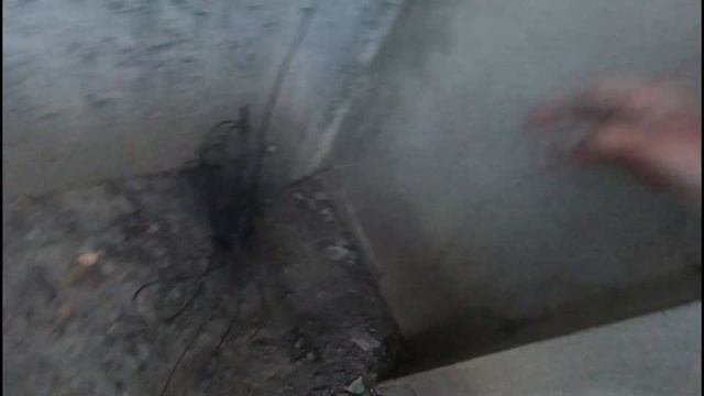 СХЕМА РАЗВОДА НА ДЕНЬГИ/Сняли гос номер с авто Одесса/Почему нужно прикручивать номер смотреть онлайн