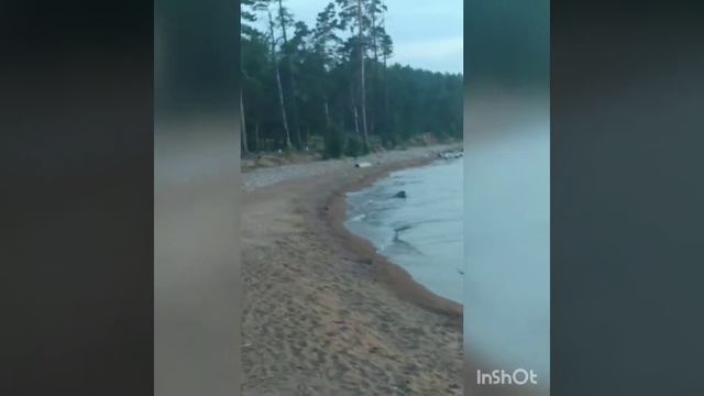 Бросили все и уехали на Байкал. смотреть онлайн