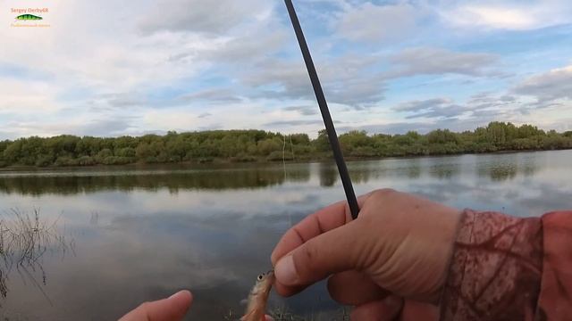 Спиннинг Dayo - Black Dragon 210, 0,5 - 5 грамм. Обзор и рыбалка ! Мормышинг ! смотреть онлайн