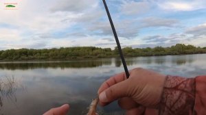 Спиннинг Dayo - Black Dragon 210, 0,5 - 5 грамм. Обзор и рыбалка ! Мормышинг !