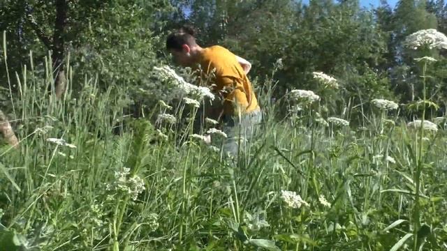 ЧТО МОЖЕТ ВЫРАСТИТЬ ШКОЛЬНИК НА ОГОРОДЕ!? #1 ПОДГОТОВКА К ЗАСЕВУ. смотреть онлайн
