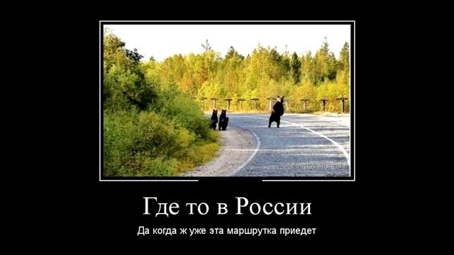 картинки демотиваторы, демотиваторы смешные про, демотиватор дня, фото демотиваторы смотреть онлайн