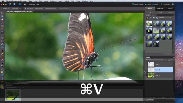 Photoshop Elements 10 Tutorial: Magic Wand and Quick Selection Tools смотреть онлайн