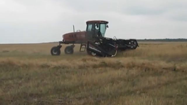 Самоходная косилка MacDon (Канада) смотреть онлайн