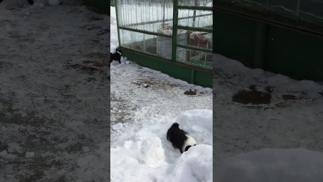 Захват горы... смотреть онлайн