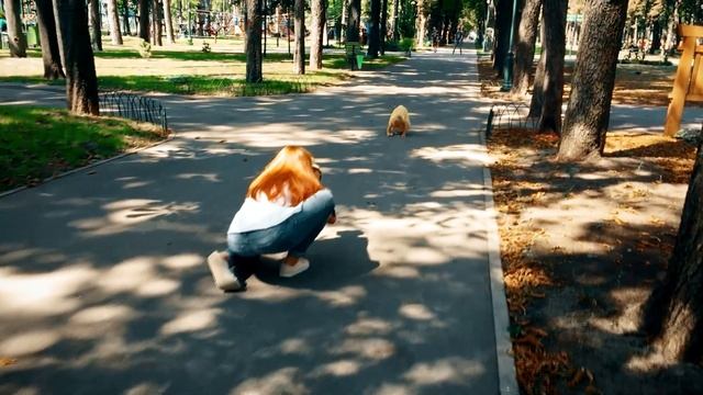 Backstage детской фотосессии, фотограф Алёна Манилова. Vlog002 смотреть онлайн