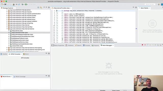 Mule 4 - How to Debug Native Mule Connectors смотреть онлайн