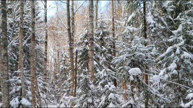 "Утро туманное, утро седое..." Сл.- И.С.Тургенев Исп. - Олег Погудин смотреть онлайн