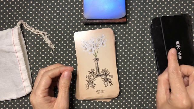 Memento Mori Lenormand/Oracle Deck Unboxing! смотреть онлайн