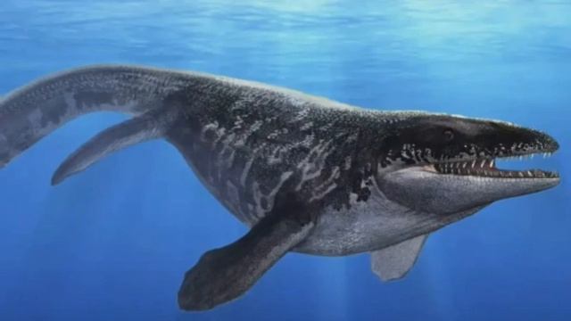 ПРОГНАТОДОН | Малоизвестный мозазавр