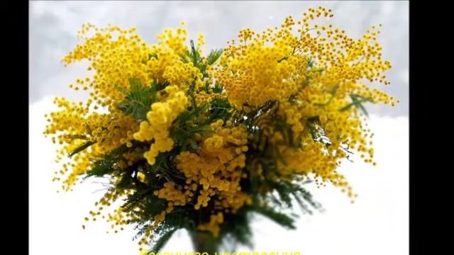 С днём рождения! смотреть онлайн