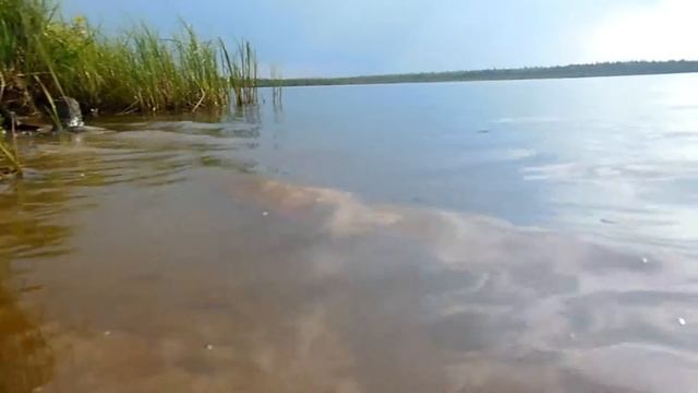 озеро Щучье смотреть онлайн
