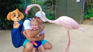 ВЛОГ для детей: На нас напал смешной фламинго в зоопарке