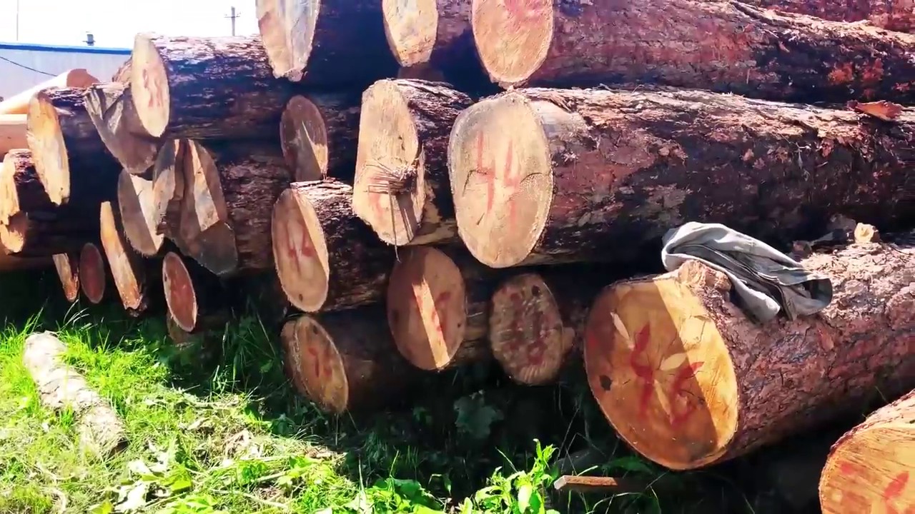 Рубленное бревно! Производство и строительство домов из рубленного бревна