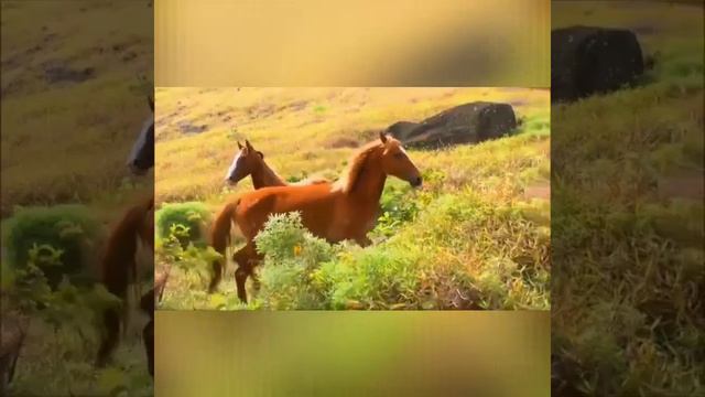 Послание Небесного Отца