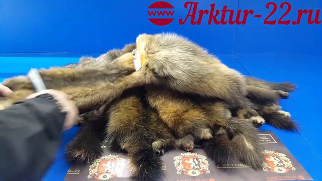 Соболь в наборе сырье С6/Sxxl/S3 от ARKTUR 22 смотреть онлайн