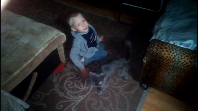 Кошечка Британская и Сынуличка смотреть онлайн