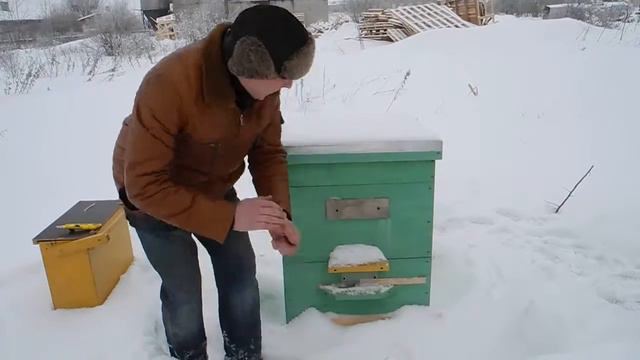 Готовим канди и подкармливаем пчел смотреть онлайн