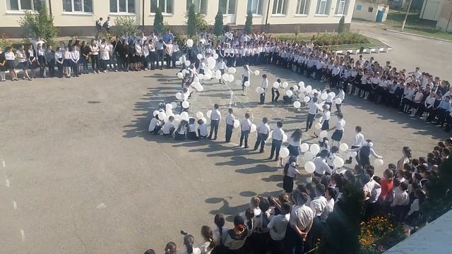 Голубь Мира смотреть онлайн