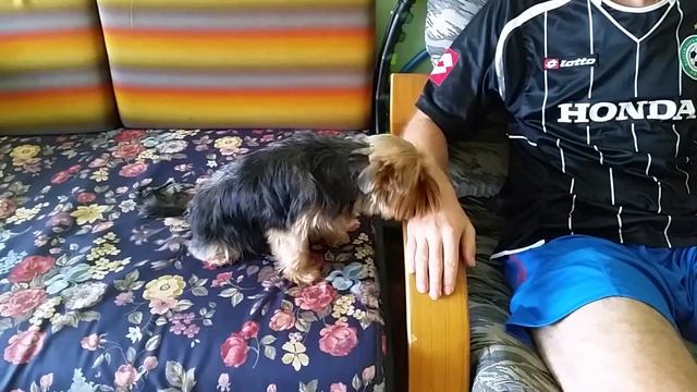 Ну погладь меня смотреть онлайн