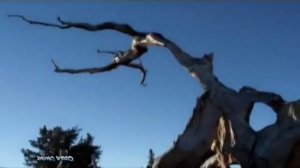 Элизиум -  Все Острова