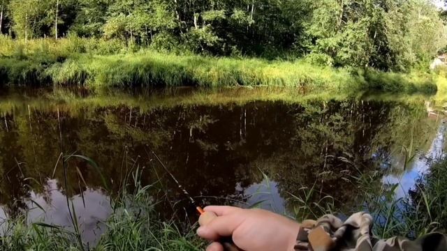 На дачной речке смотреть онлайн