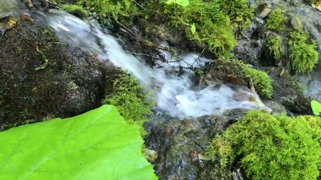 Успокаивающий звук Водопада. 8 часов Релаксации и Расслабления. смотреть онлайн