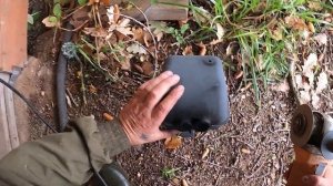 Глушитель на каракат. Варим грибы.