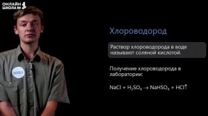 Соединение галогенов. Видеоурок 10. Химия 9 класс