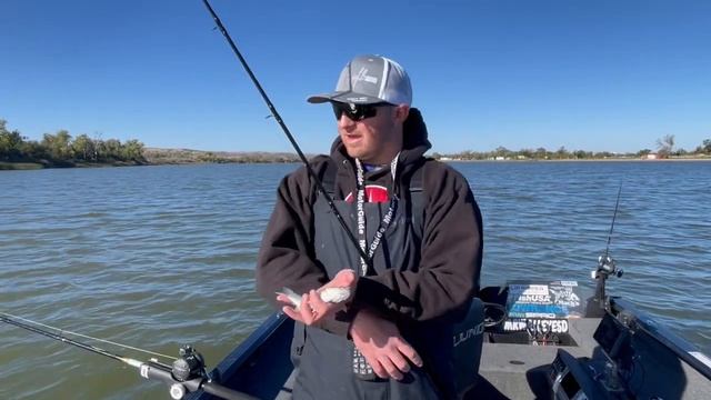 Why White Bass Means Trophy Walleyes смотреть онлайн