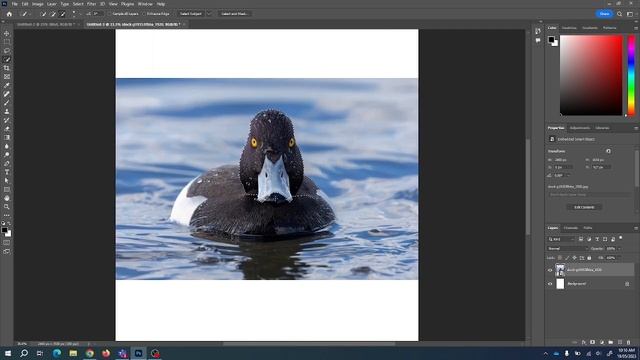 2. Photoshop selection tool смотреть онлайн