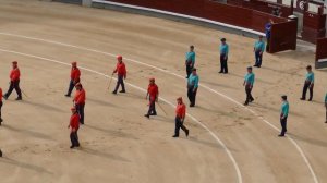 Коррида в Мадриде - торжественное начало