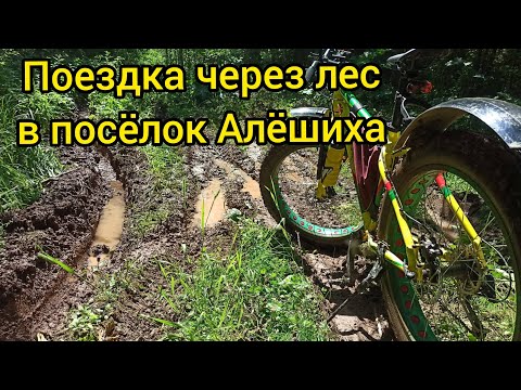Поездка на Фэтбайке через лес в сторону посёлка Алёшиха