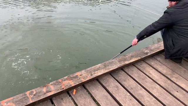 Поимка на бомбарду смотреть онлайн