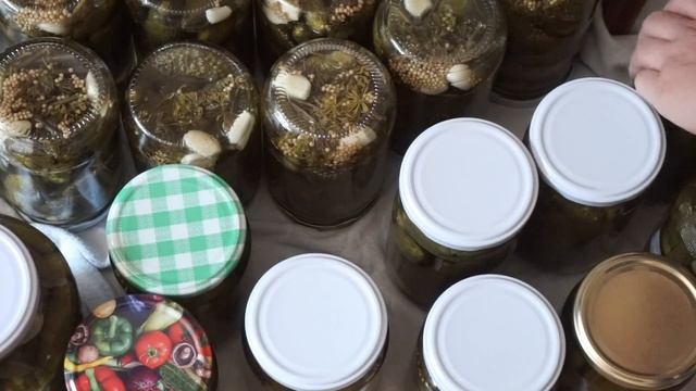 Делаю заготовки! Хрустящие Огурчики, как быстро чистить чеснок! смотреть онлайн