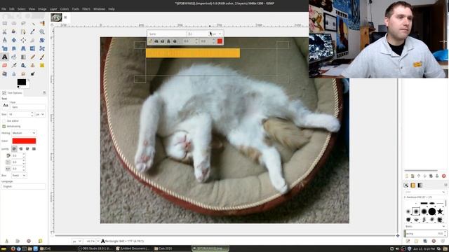 Top 5 Linux Photo Management Tools on Linux Mint Cinnamon смотреть онлайн