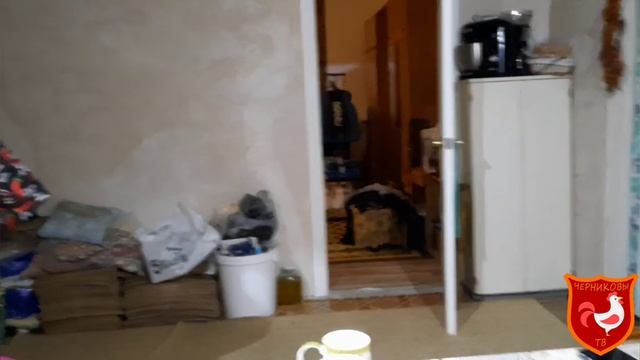 ЧП..Убрали перепелов, петухов. Вывод цыплят. #цыплята #перепела смотреть онлайн