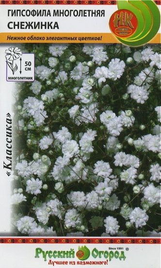 Гипсофила взошла щеткой. Что дальше.. смотреть онлайн