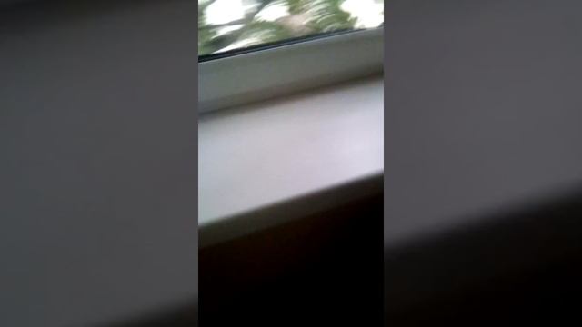 Бутылка челенж смотреть онлайн