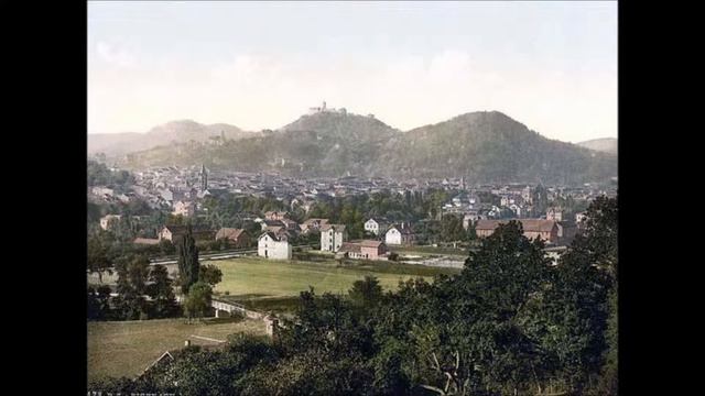 Bach Flute Sonata BMV1031 - II. Siciliano смотреть онлайн
