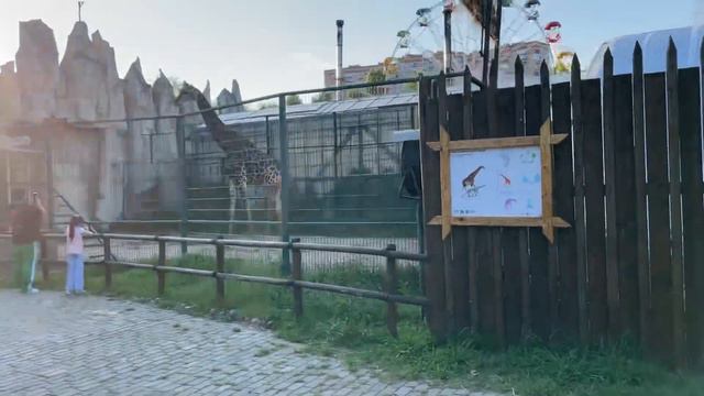 Краснодарский сафари парк💚🦒￼ в конце видео вы увидите жирафа смотреть онлайн