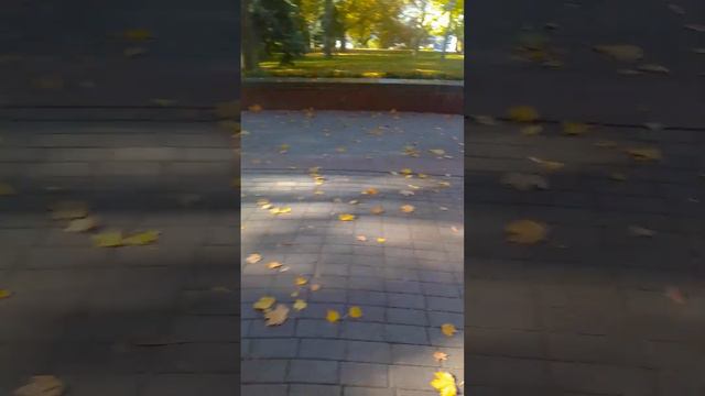 "Морда у меня кирпича не просит? Арабский подкат в центре Минска смотреть онлайн